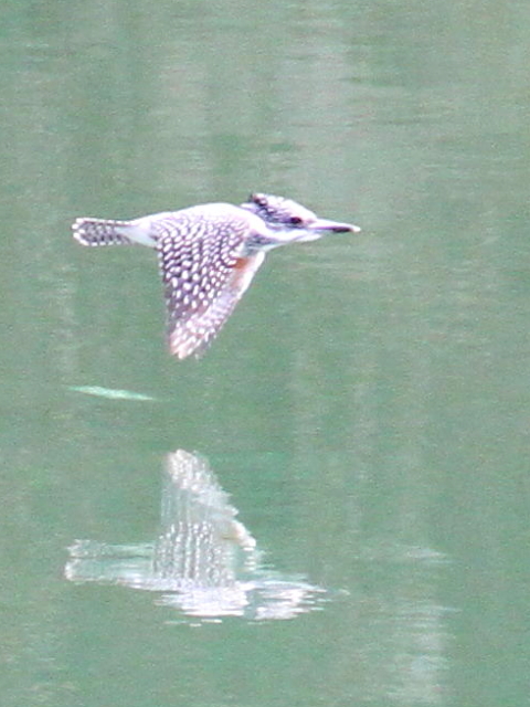 B }Z~@@Fs@V_@2013/03/15@Photo by Manda