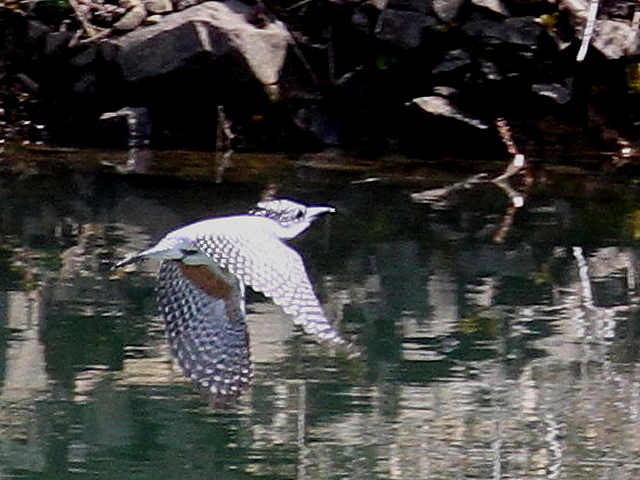 B }Z~@@Fs@V_@2013/03/15@Photo by Manda