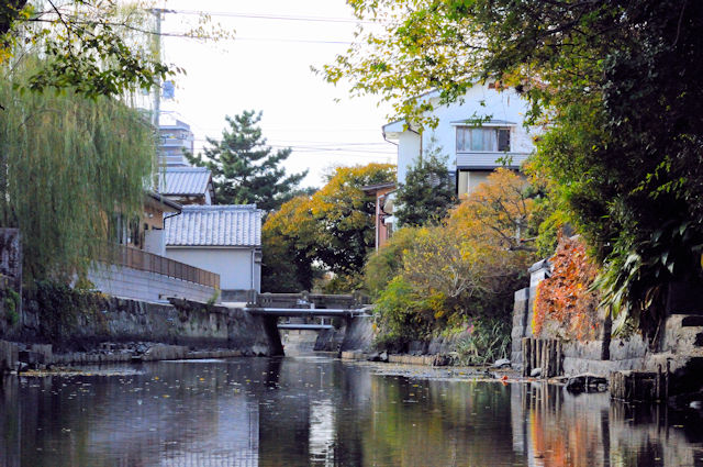 柳川水郷巡り （１２景）　柳川市　福岡県　2010/11/17　Photo by Kohyuh