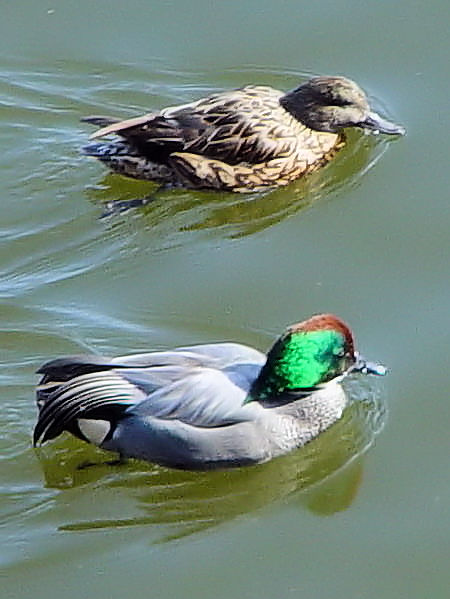 @ VK @@s@r@2003/03/12@Photo by Kohyuh