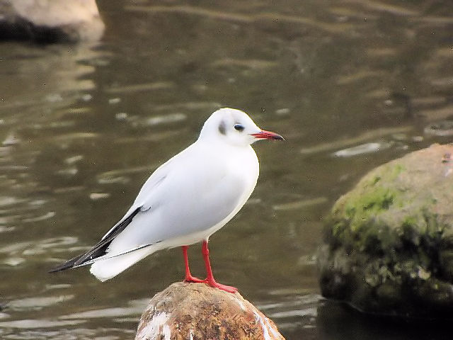 @ J@@zr@ 2010/02/23@Photo by Kohyuh