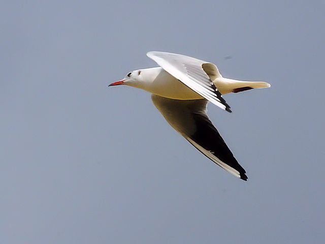 F J@@~H@@s@2011/12/20@Photo by Kohyuh