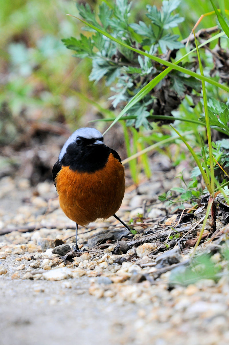 WEr^L @H@@ss@2022/03/19@Photo by Kohyuh