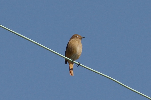 WEr^L@@iQ-1j  s@ؒÐ 2014/11/o4@Photo by Manda