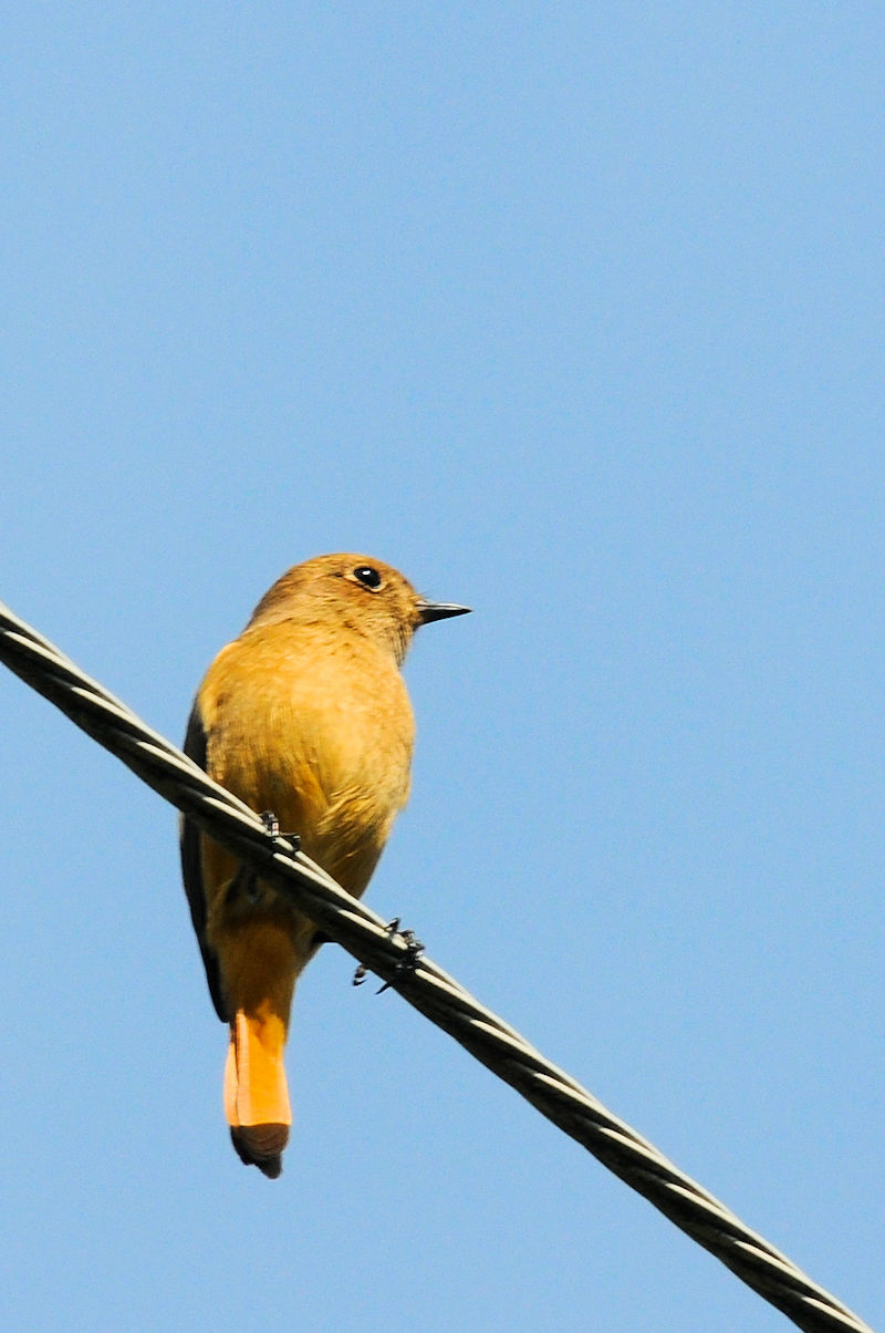 WEr^L@@ǒr@s@2019/10/28@Photo by Kohyuh