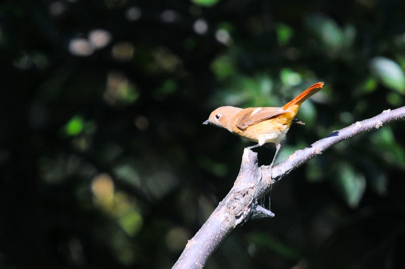 WEr^L@@͐~@s@2019/11/09@Photo by Kohyuh