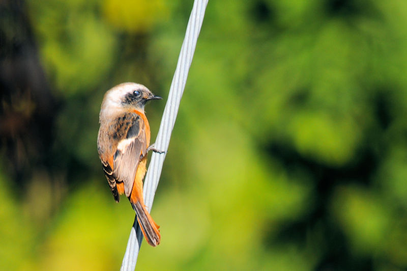  WEr^LiQ-1j@@D@s@ 2019/11/06@Photo by Kohyuh