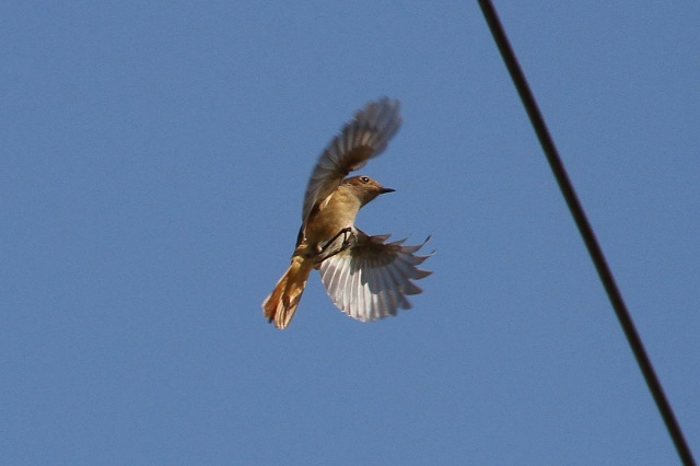 WEr^L@@iQ-2j  s@ؒÐ 2014/11/o4@Photo by Manda