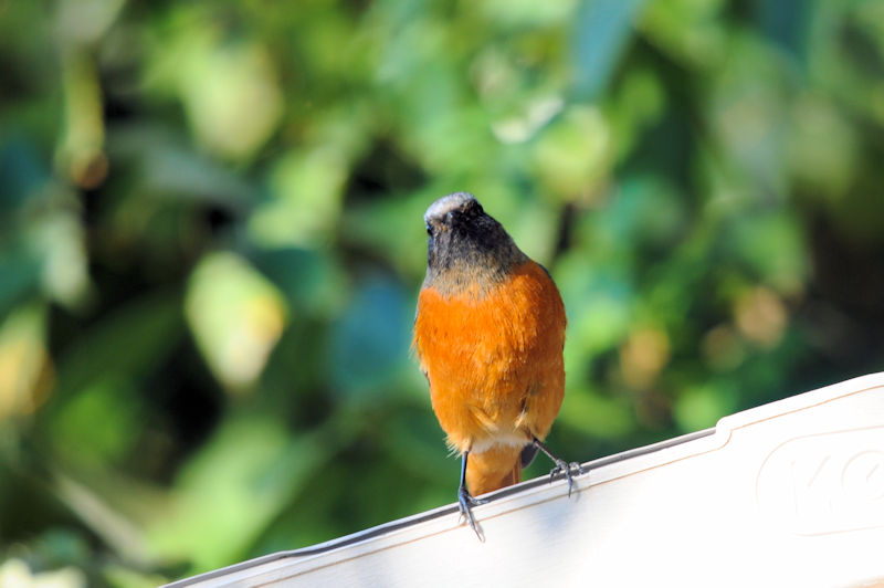  WEr^LiQ-2j@@D@s@ 2019/11/06@Photo by Kohyuh