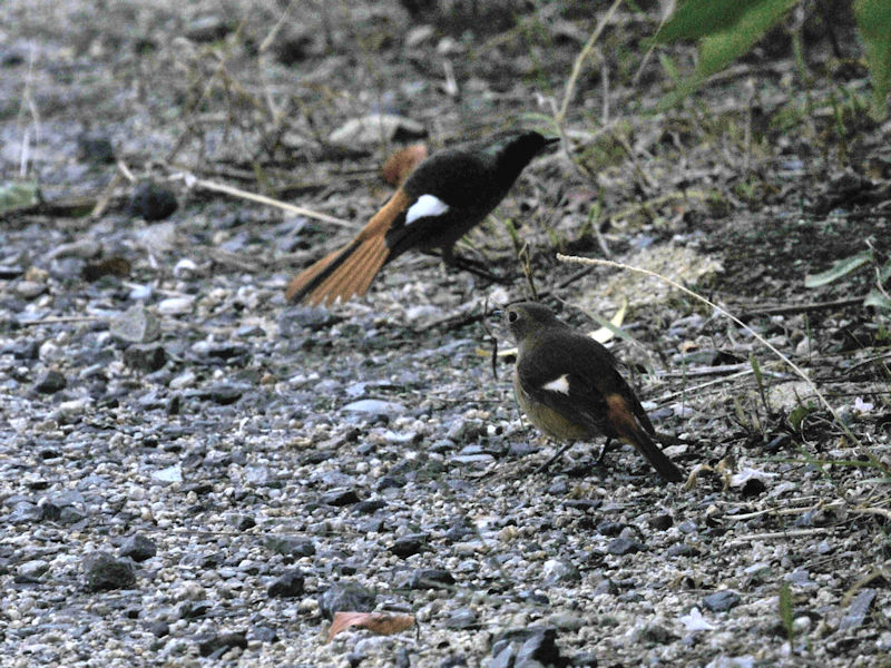 WEr^L @V@s@2020/10/26@Photo by Kohyuh