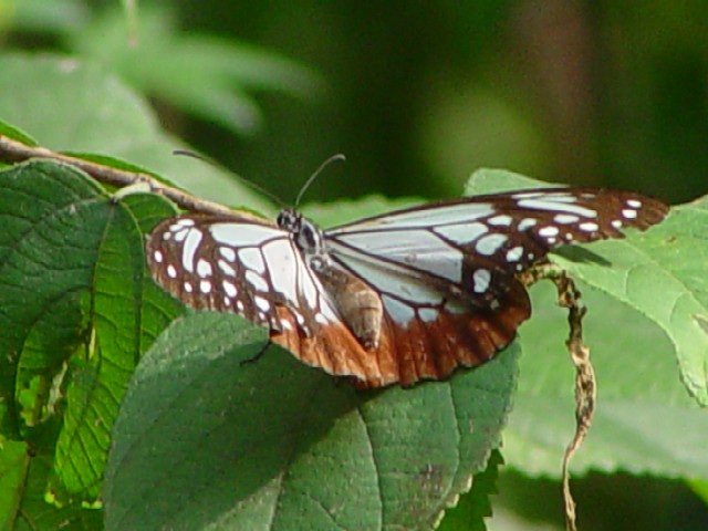 @ ATM}_ s@킫R^@Photo by Kohyuh@2005/10/26