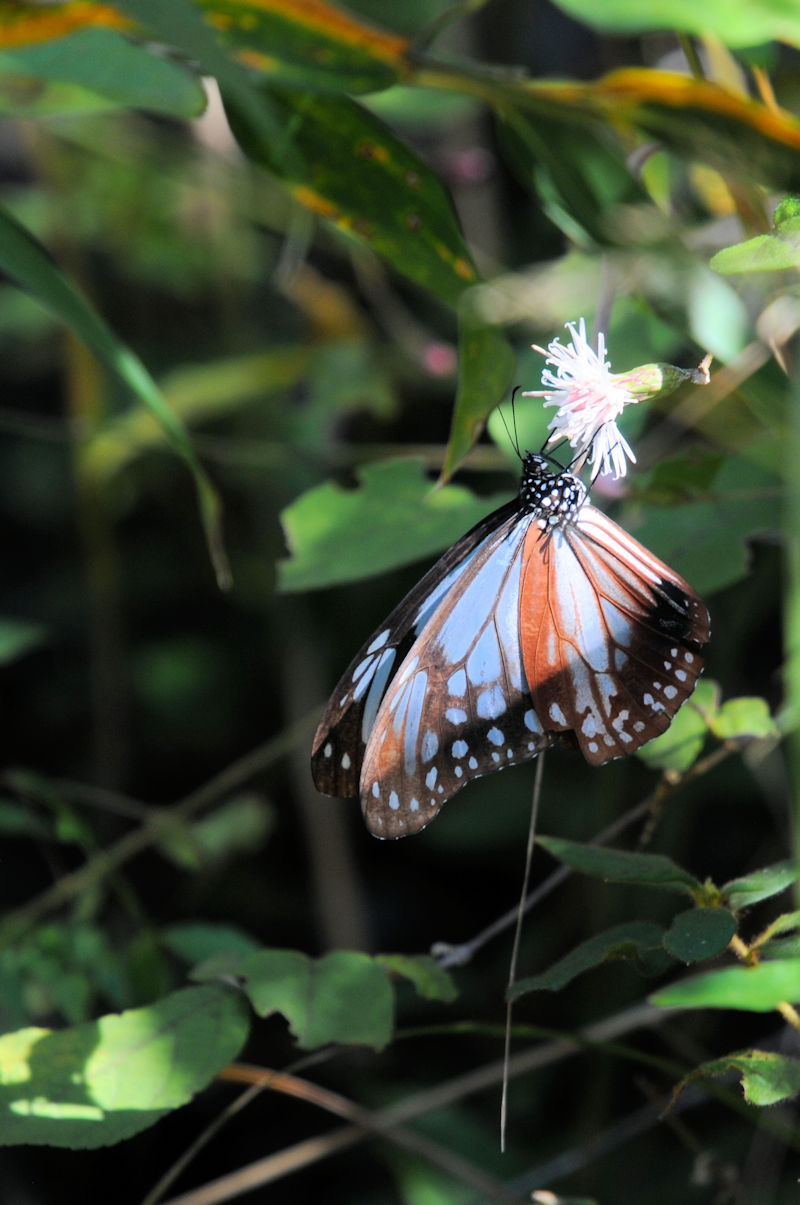 ATM}_iSԁj@ǉn@{̐X@s@{@Photo by Kohyuh@2020/10/24