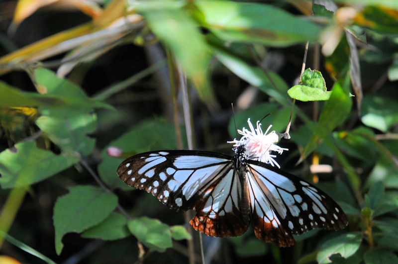 ATM}_iSԁj@ǉn@{̐X@s@{@Photo by Kohyuh@2020/10/24