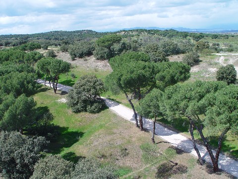 カサ・デ・カンポ Casa de Campo, Spain 2005/04/19 Photo by Kohyuh casa_de_campo