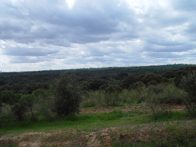 Casa_de_campo_plain