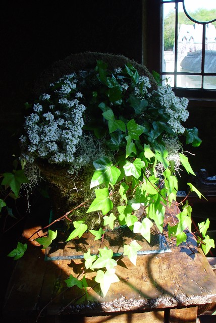 フラワー・アレンジメント Chenonceaux, France 2004/04/26 Photo by Kohyuh chenonceaux_flower