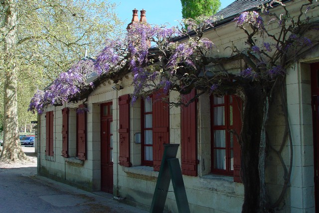 満開の藤の花に飾られた瀟洒な事務所 Chenonceaux, France 2004/04/26 Photo by Kohyuh chenonceaux_ticket