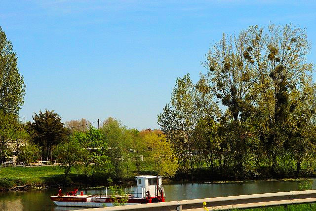 シェール川の風景2 cher, France 2004/04/26 Photo by Kohyuh cher2