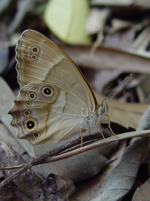 @ qJQ`E@s@jR@Photo by Kohyuh@2006/08/23