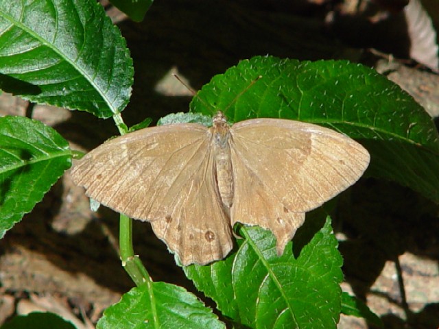 A qJQ`E@s@jR@Photo by Kohyuh@2003/09/23