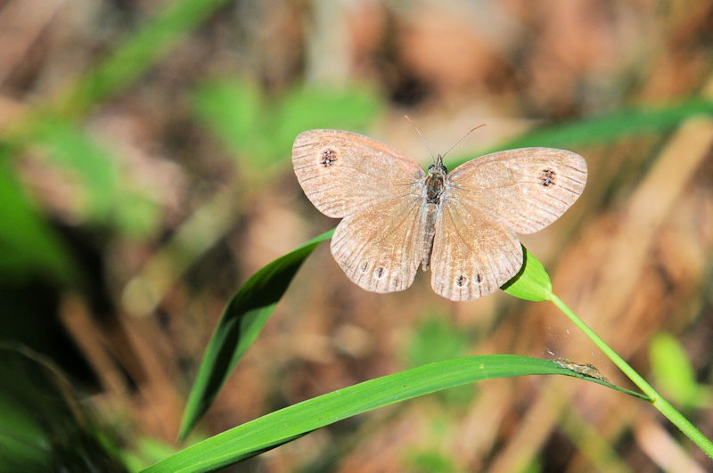 qWm@킫^@s@Photo by Kohyuh@2020/09/21