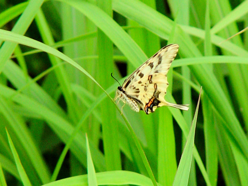 z\I`E@ؒÐE݁@vR@s{@Photo by Kohyuh@2006/08/01