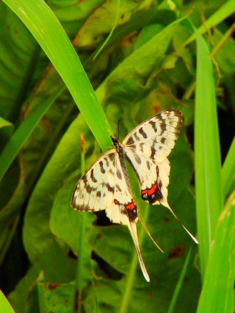 z\I`E@ؒÐE݁@vR@s{@Photo by Kohyuh@2006/08/01