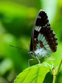 sC`W`Et@ʐ^̓NbNŊg傷