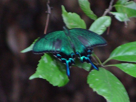 A JXAQn@s@ΐ\Q @Photo by Kohyuh@2003/07/21