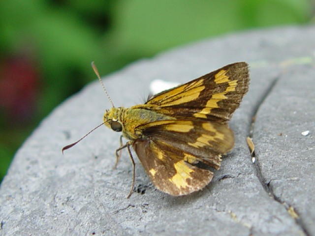 @ L}_ZZ@s@jR@Rw@Photo by Kohyuh@2005/09/27