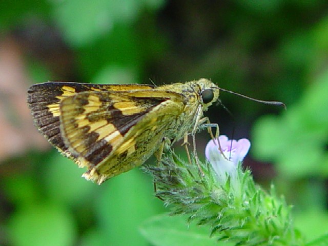 B L}_ZZ@@s@jR@Rw@Photo by Kohyuh@2005/09/27