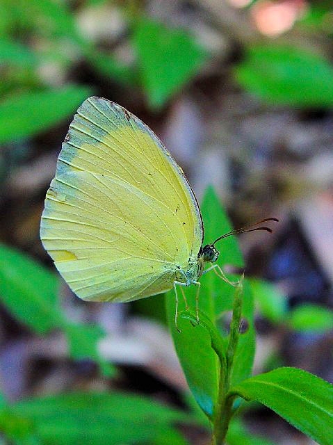 @ L`E@@jR@Ђ܂胋[g@s@Photo by Kohyuh@2003/09/04