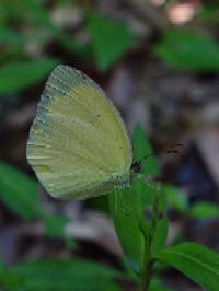 sL`Et@ʐ^̓NbNŊg傷