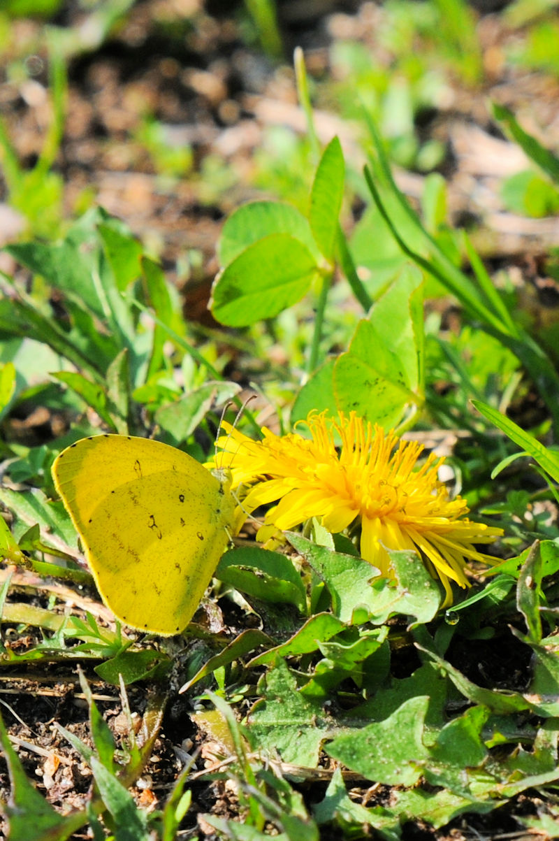 L`E@@ΐ{Q@jR@s@Photo by Kohyuh@2021/11/16