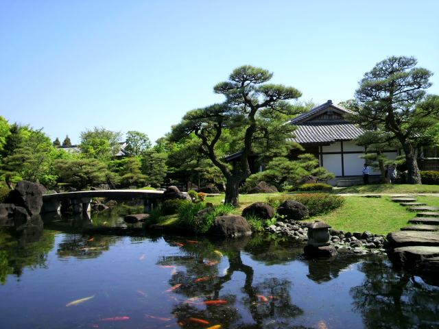 DÉ@䉮~̒@2012/04/27@Photo by Kohyuh