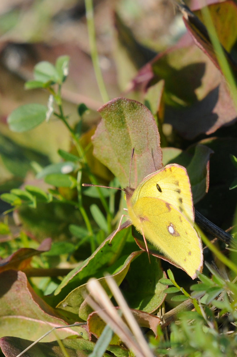 L`E@@J@s@Photo by Kohyuh@2021/12/09