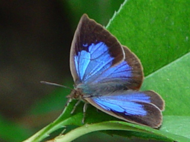 @ TLVW~@@s\t @s@_@ Photo by Kohyuh 2004/08/07