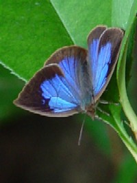 sTLVW~t@ʐ^̓NbNŊg傷