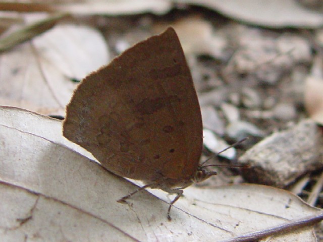 A TLVW~@@s\t @s@炬[g@ Photo by Kohyuh 2006/08/17