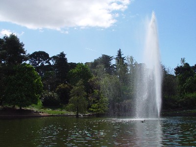 ガラスの宮殿前の池