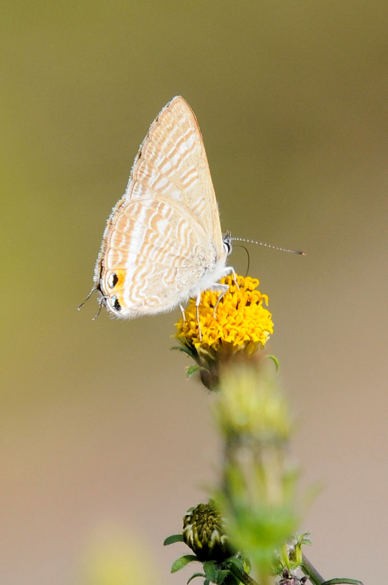 Ei~VW~@D@s@{@Photo by Kohyuh@2021/11/19