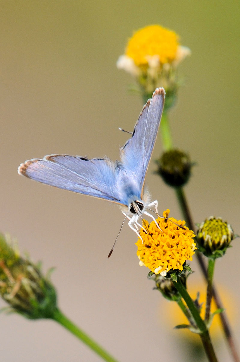 Ei~VW~@D@s@{@Photo by Kohyuh@2021/11/19