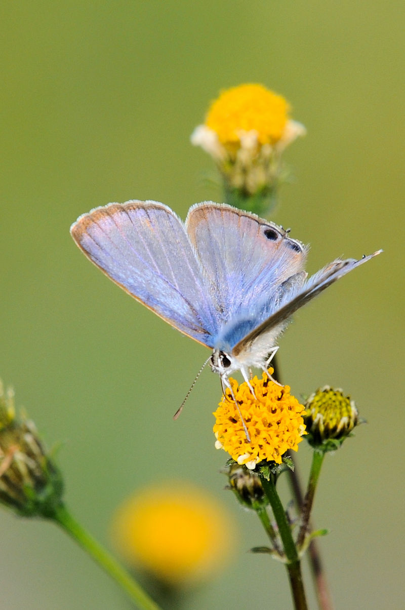 Ei~VW~@D@s@{@Photo by Kohyuh@2021/11/19