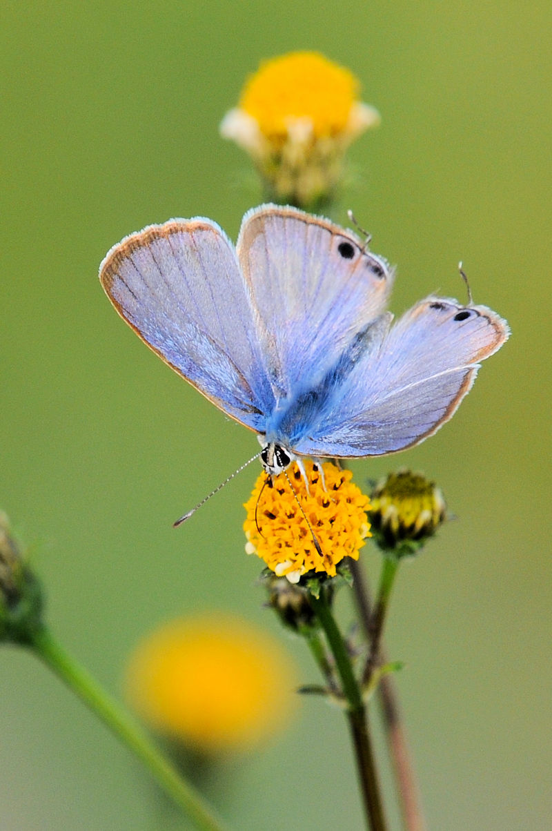 Ei~VW~@D@s@{@Photo by Kohyuh@2021/11/19