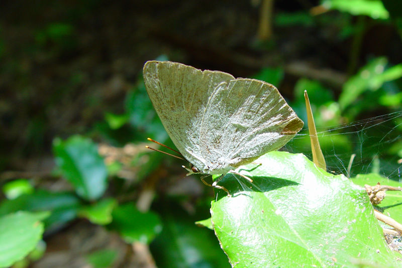 EMVW~ iRԁj@s@w@Photo by Kohyuh@2004/06/30