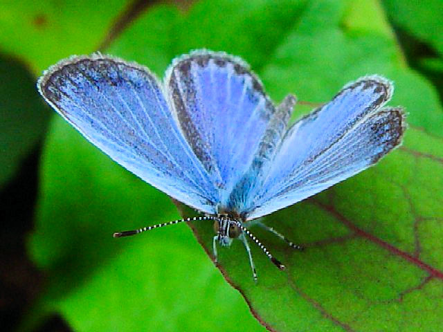 @ }gVW~@@s@r@Photo by Kohyuh@2004/09/23