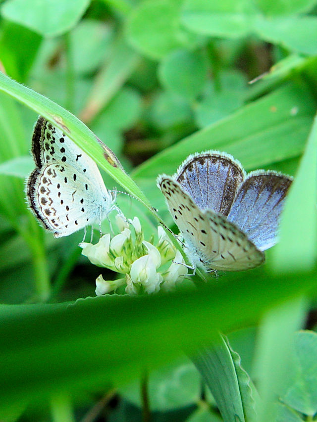 }gVW~ @s@킫^@Photo by Kohyuh@2005/09/24