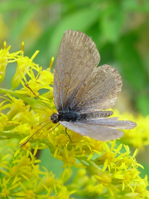 B }gVW~@s@킫^@Photo by Kohyuh@2005/10/26