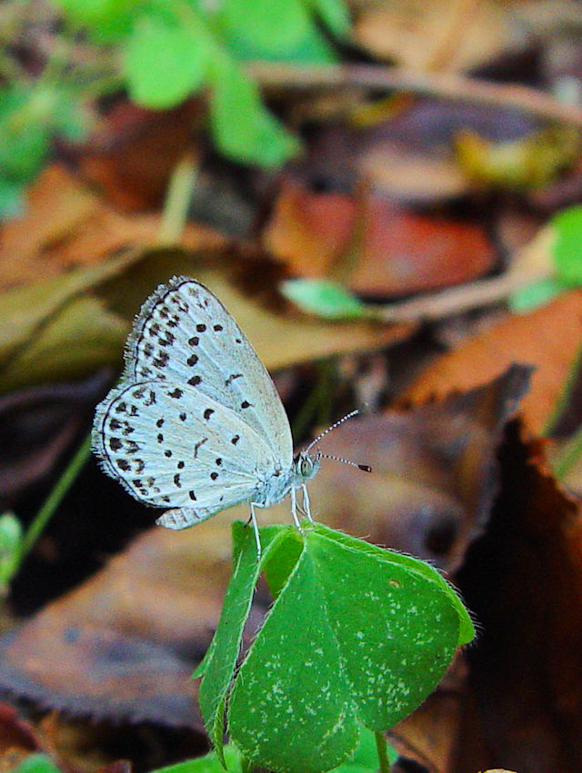 }gVW~@@s@`쒹@Photo by Kohyuh@2004/09/12