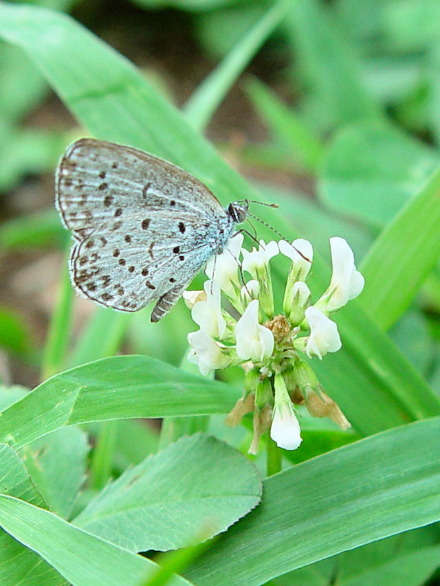 }gVW~ @s@킫^@Photo by Kohyuh@2005/09/24